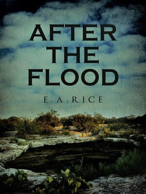 cover image of After the Flood